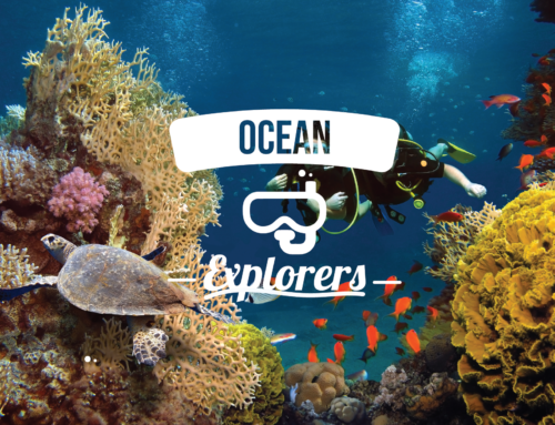 Ocean Explorers diving club
